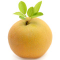 Nashi Pear